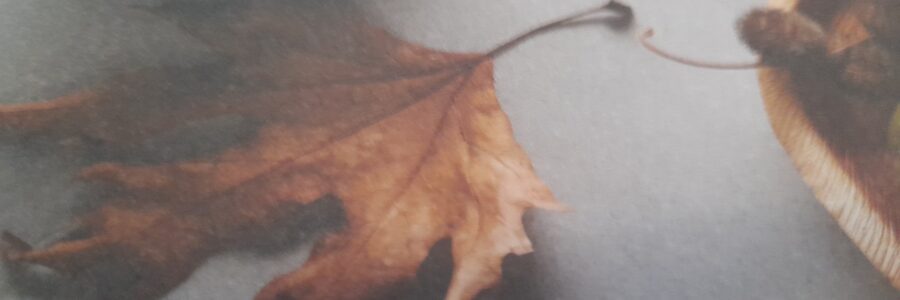 Déclaration en CSE sur l&rsquo;avenir de l’emploi