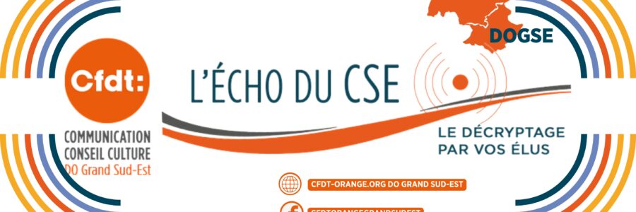 L&rsquo;ECHO DU CSE 4  DOGSE