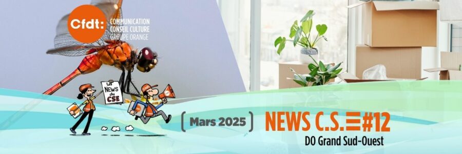 LES NEWS DU CSE DOGSO 12