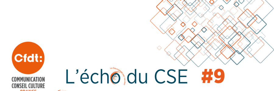 L&rsquo;ECHO DU CSE 9 CFDT DO Grand Sud Est