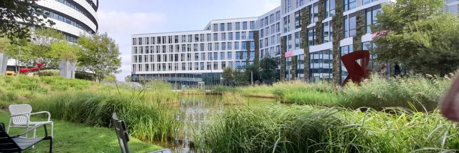 Archives : Déménagement vers Orange Gardens