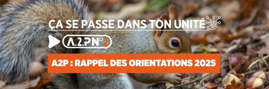 A2P N°2 – Ça se passe dans ton unité